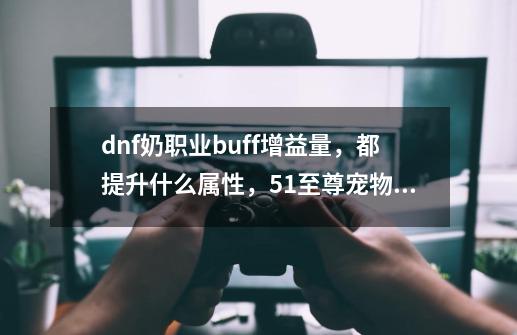 dnf奶职业buff增益量，都提升什么属性，51至尊宠物提升率多少-第1张-游戏-拼搏