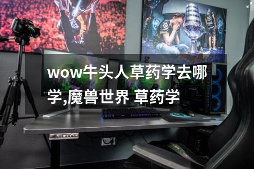 wow牛头人草药学去哪学,魔兽世界 草药学-第1张-游戏-拼搏