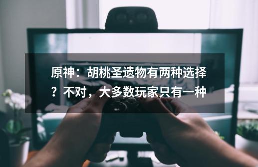 原神：胡桃圣遗物有两种选择？不对，大多数玩家只有一种-第1张-游戏-拼搏