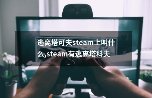 逃离塔可夫steam上叫什么,steam有逃离塔科夫-第1张-游戏-拼搏