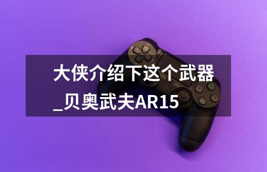 大侠介绍下这个武器_贝奥武夫AR15-第1张-游戏-拼搏