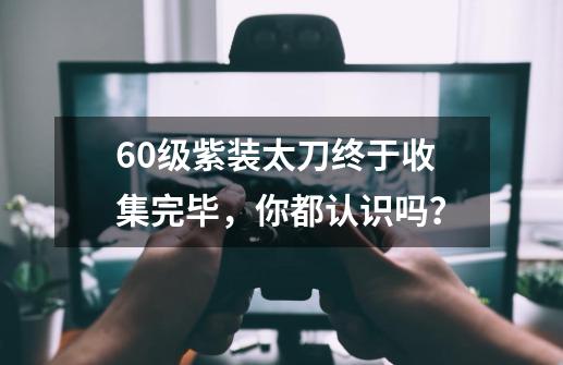 60级紫装太刀终于收集完毕，你都认识吗？-第1张-游戏-拼搏