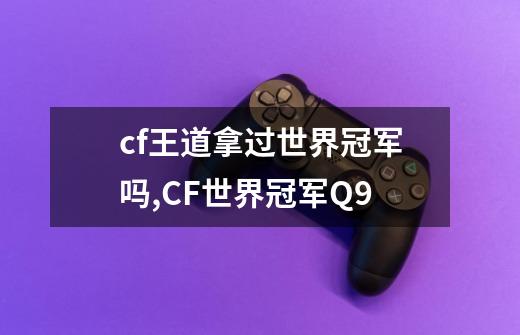 cf王道拿过世界冠军吗,CF世界冠军Q9-第1张-游戏-拼搏