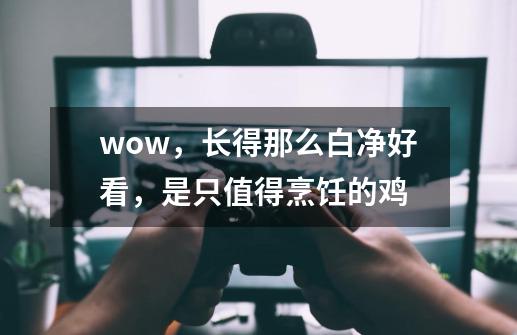 wow，长得那么白净好看，是只值得烹饪的鸡-第1张-游戏-拼搏