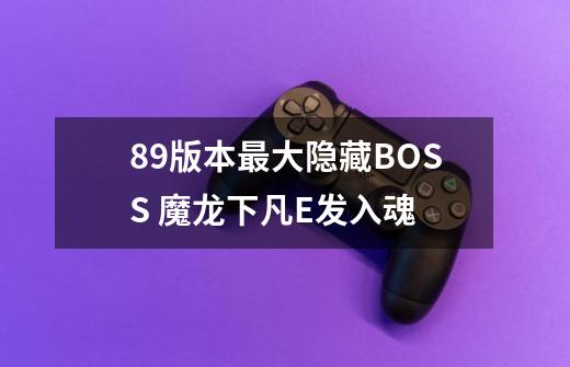 8.9版本最大隐藏BOSS 魔龙下凡E发入魂-第1张-游戏-拼搏