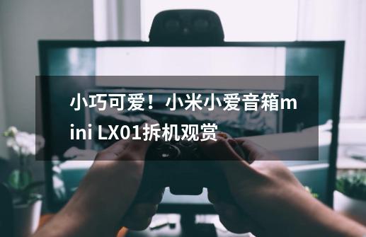 小巧可爱！小米小爱音箱mini LX01拆机观赏-第1张-游戏-拼搏