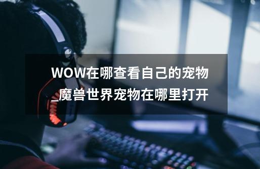 WOW在哪查看自己的宠物_魔兽世界宠物在哪里打开-第1张-游戏-拼搏