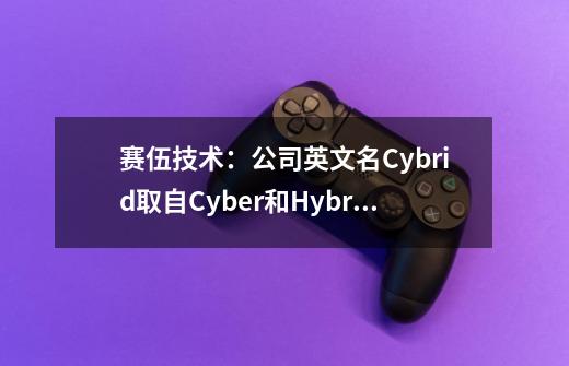 赛伍技术：公司英文名Cybrid取自Cyber和Hybrid，寓意成为客户与技术平台之间的纽带-第1张-游戏-拼搏