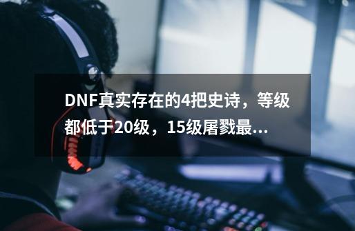 DNF真实存在的4把史诗，等级都低于20级，15级屠戮最常见-第1张-游戏-拼搏