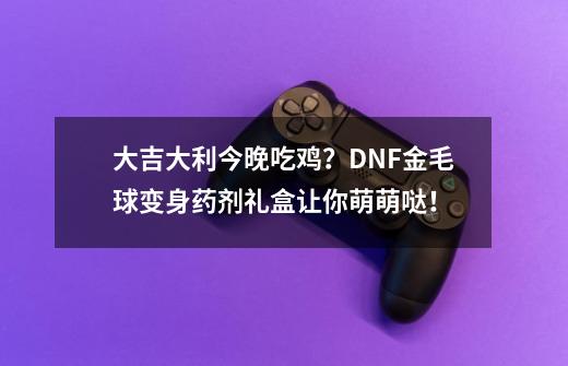 大吉大利今晚吃鸡？DNF金毛球变身药剂礼盒让你萌萌哒！-第1张-游戏-拼搏