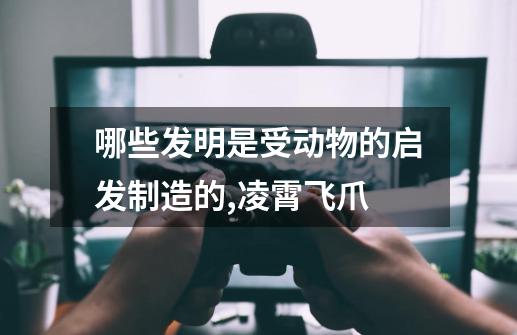 哪些发明是受动物的启发制造的,凌霄飞爪-第1张-游戏-拼搏