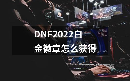 DNF2022白金徽章怎么获得-第1张-游戏-拼搏