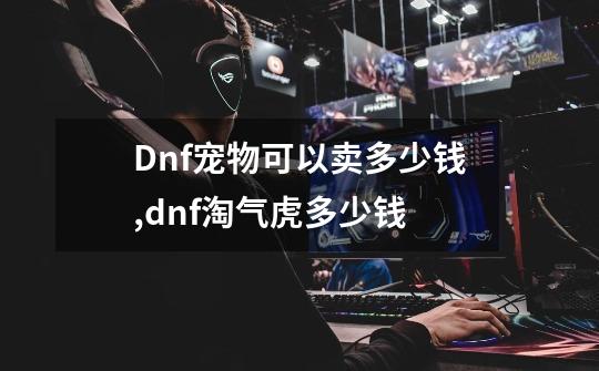 Dnf宠物可以卖多少钱?,dnf淘气虎多少钱-第1张-游戏-拼搏