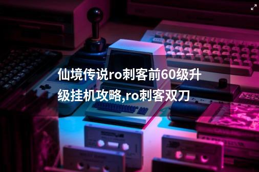 仙境传说ro刺客前60级升级挂机攻略,ro刺客双刀-第1张-游戏-拼搏