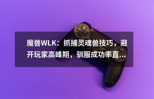 魔兽WLK：抓捕灵魂兽技巧，避开玩家高峰期，驯服成功率直接翻倍-第1张-游戏-拼搏