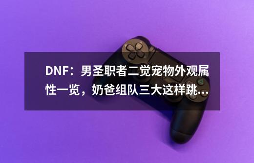 DNF：男圣职者二觉宠物外观属性一览，奶爸组队三大这样跳舞！-第1张-游戏-拼搏