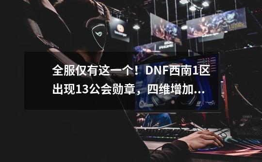 全服仅有这一个！DNF西南1区出现+13公会勋章，四维增加108点-第1张-游戏-拼搏