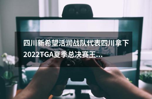 四川新希望活润战队代表四川拿下2022TGA夏季总决赛王者荣耀冠军-第1张-游戏-拼搏