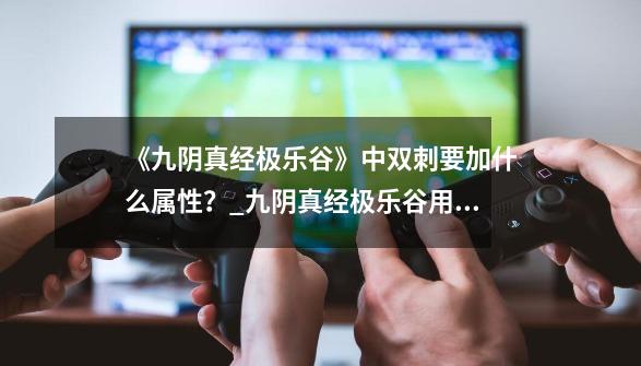 《九阴真经极乐谷》中双刺要加什么属性？_九阴真经极乐谷用什么经脉-第1张-游戏-拼搏